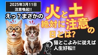 知らないと損！？凶日をプラスに変える過ごし方＆開運アクション#こよみ #ねこ好き #ねこ動画  #占い好き #六曜 #開運アクション #注意日 #くらし #しあわせ #ai生成画像