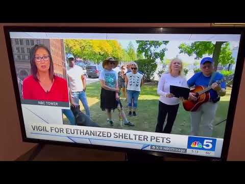 NBC5 News Story (9-15-2024): Advocates Hold Vigil for Euthanized Shelter Pets