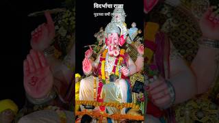 Vidarbhacha raja 2024|विदर्भाचा राजा 2024|Amravati ganapati visarjan vlog#ganapativisarjan#vidarbha