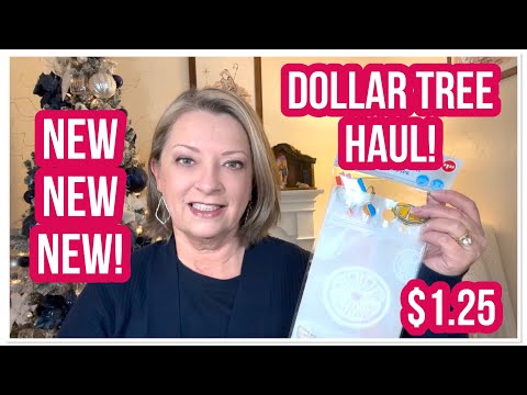 DOLLAR TREE HAUL | NEW ITEMS | $1.25 | EXCELLENT FINDS | DT NEVER DISAPPOINTS😁 #haul #dollartree