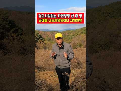 나는 자연인이다 근 사면 산 속 혐오시설 없는 자연 청정 깨끗한 토지 안동호 와 낙동강 주변 환경 최고로 근접 민가 없는 조용 한적한 곳