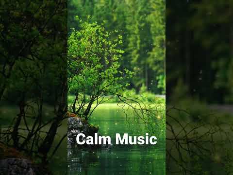 Calm Music