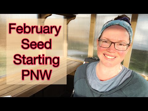 What to Plant in February: Seed Starting for the PNW Zone 8