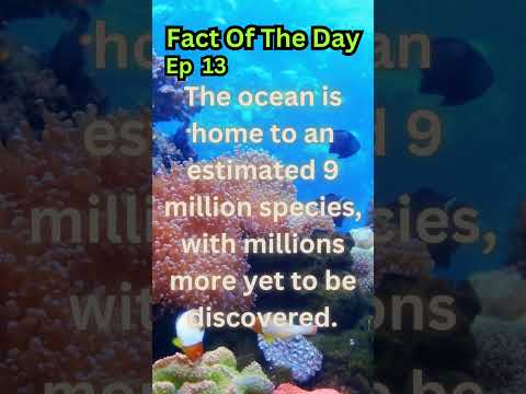 Fact Of The Day| Ep 13| Ocean life #shorts #trending #viral #life #sea