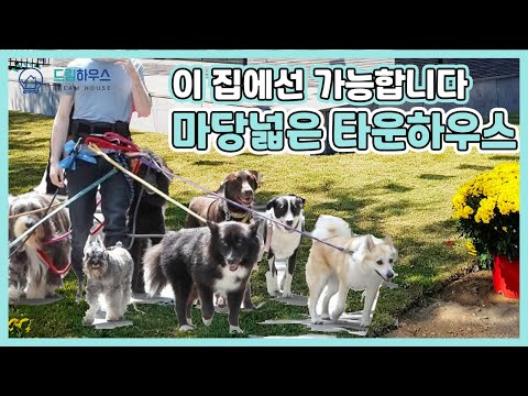 [김포타운하우스]이집에선 가능합니다! 마당넓은 김포 타운하우스