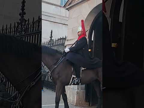 King's guards horse #king #guard #horse #london #india #ytshots @vichethediamonds#