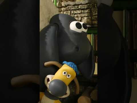 Grande momento do Timmy #shorts #carneiro #shaunthesheep #cartoonsparacrianças