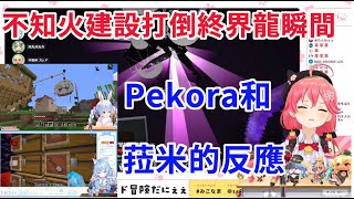 不知火建設打倒終界龍的瞬間 pekora和菈米都被聲音嚇到 【hololive/櫻巫女/不知火芙蕾雅/尾丸波爾卡/星街彗星/兔田佩可拉/雪花菈米】【ホロライブ/さくらみこ】【HOLOLIVE中文】