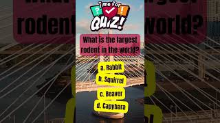 What is the Largest Rodent in the World? #quiz #trivia #shorts #viral #australia #usa #trending