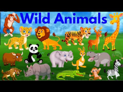 Wild animals name with spelling | जंगली जानवर