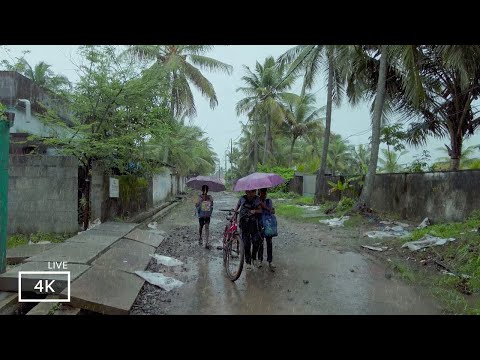 Heavy Rain Walking Tour In a Village | ASMR Rain Walks Compilation for Deep Sleep and Meditation