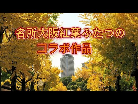 名所大阪紅葉二つのコラボ作品2024 大阪城紅葉 万博記念公園紅葉