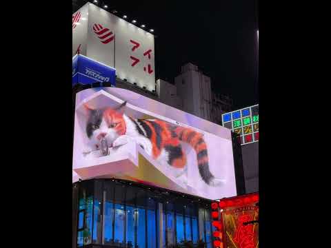 Giant 3D Cat Display Billboard #shinjuku #tokyo