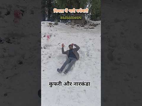 Kufri 2025//narkanda shimla.......#ytshorts #youtube #kufri #shimla #viralvideo