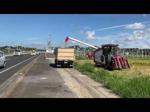 阿見町・今年の稲刈り始まりました240815　#阿見町　#稲刈り　#海野隆　#早稲