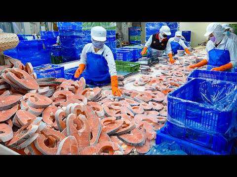 Salmon Cutting Processing Plant & Butter Salmon Pilaf Making / 鮭魚菲力, 奶油鮭魚炊飯 - Food Factory