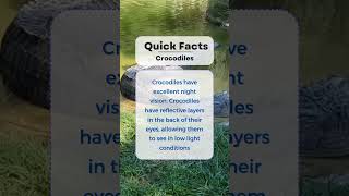 #crocodile  #facts #quickfacts