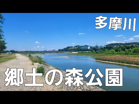 【東京都】相棒君とデイキャンプ【郷土の森公園バーベキュー場】【デュオキャンプ】