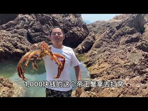 【阿向趕海】1000的帝王蟹打窩 引來八爪怪大戰鯊魚、捕食石斑魚，極其囂張