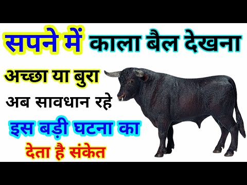 सपने मे काला बैल देखना । Sapne Me Kala Bail Dekhna | Seeing Black Ox in Dreams |Bail Ka Sapna Dekhna