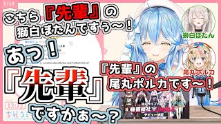 突然来たホロライブ6期生にウキウキな先輩5期生3人の反応【雪花ラミィ/獅白ぼたん/尾丸ポルカ/ホロライブ切り抜き】