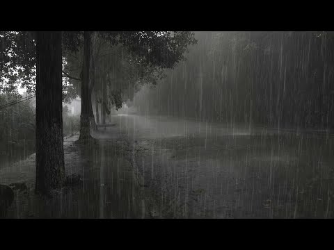 ✅[Storm + Heavy Rain + Thunderstorm] helps you beat insomnia and fall asleep quickly!