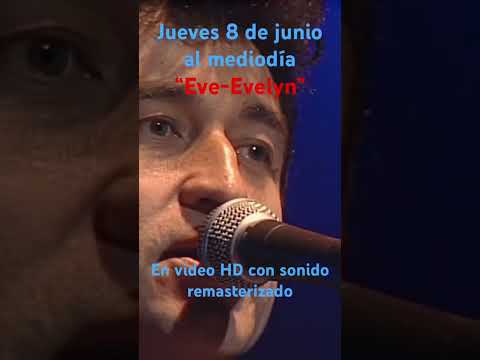 Video diario Quinta Vergara