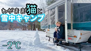 猫と雪中キャンプ！動く家の中で快適ぬくぬくキャンプ！【平瀬温泉キャンプ場】