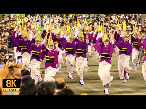 [Tempouren] Cute butterfly dance, soul-stirring beauty - awaodori in 8K