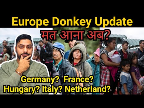 Europe donkey new update - italy donkey from India - serbia donkey to italy portugal donkey Cyprus