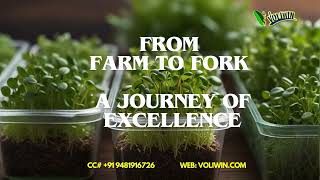 Micro Green Order Online / Micro Green India