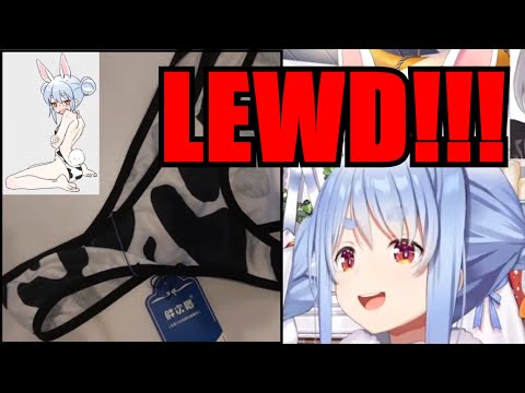 Noel Bought Lewd Cow Print Swimsuit for Pekora IRL【Hololive】