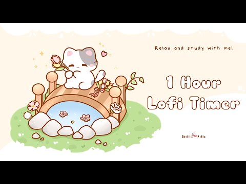 1 Hour - Relax & study with me Lofi | Cat on bridge #timer #1hour #1hourloop #lofi #relaxing #calm