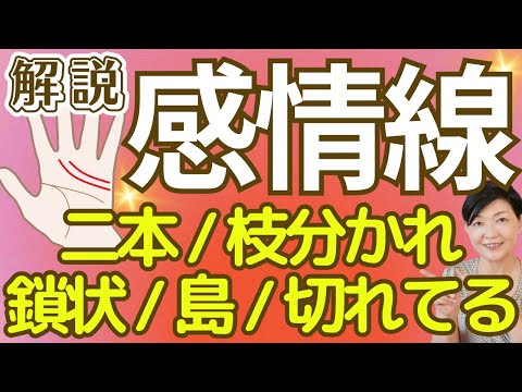 【手相】感情線が二本、枝分かれ、切れてる、島、鎖状、その意味は？