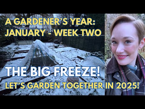 A GARDENER’S YEAR 2025: JANUARY - WEEK TWO - FILMING EVERY DAY FOR A WHOLE YEAR!