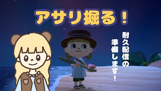 深夜のアサリ掘り！雑談しながら耐久配信の準備します🐟【あつ森】【生配信】