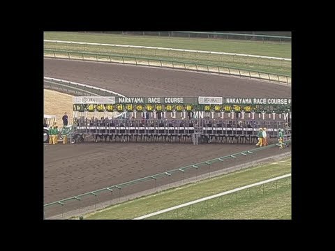 2003年　第20回フェブラリーステークス ( ゴールドアリュール　武豊）