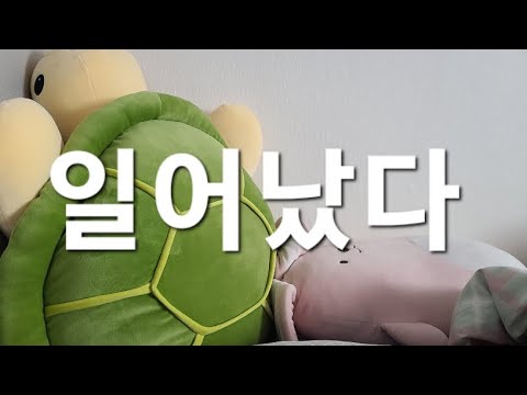 굿모닝 짧은수다