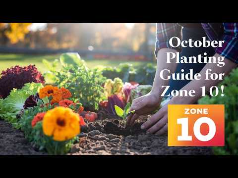 What to Plant in October for a Thriving Garden in Zone 10: Fall Garden Success!