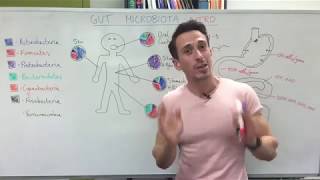 Gut microbiota (gut bacteria) - Introduction