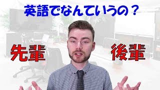 英会話無料学習・職場や学校で「先輩・後輩」を英語で表現するには？【Youtube動画】ネイティブ英語をちかくでマスター