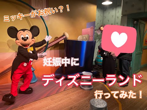 【Vlog】妊娠安定期にディズニーランドに行ってきました！