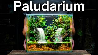 I Made a Paludarium With Flowing Waterfalls, Here's How!