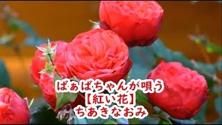 ばぁばちゃんが唄う【紅い花】ちあきなおみ cover ＜歌詞入り＞