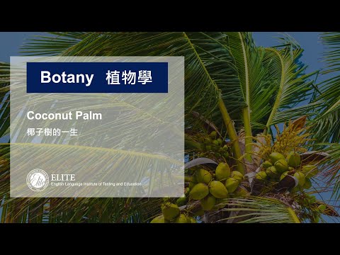 線上TOEFL托福課程【托福背景知識】植物學篇 - 椰子樹Coconut Palm