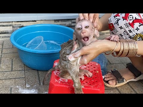 Mom Take A Bath For Adorable Baby Boy Look Is Very Cute