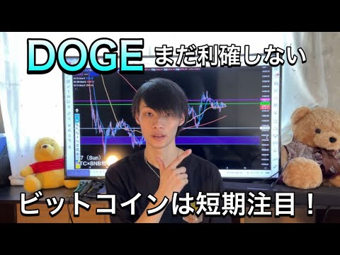 【DOGEはまだ利確しない】　狙っている波を把握することが一番大事！　【BTC・仮想通貨相場分析】