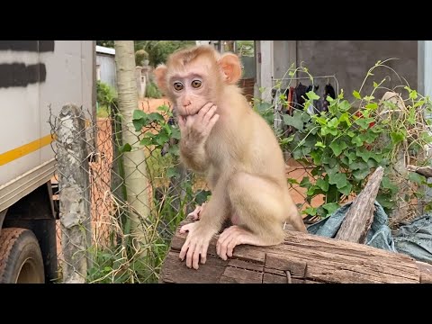 Little cute baby boy to playing outside look is very happy