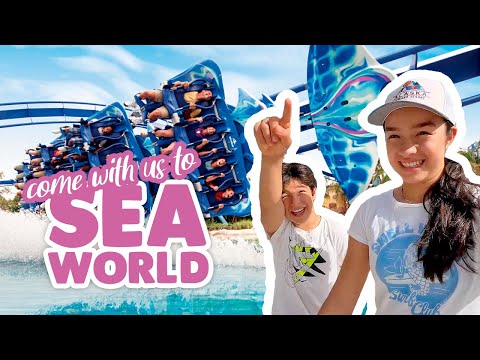 🎢 SeaWorld Challenge: How Many Roller Coasters in Under 1 Hour? ⏱️