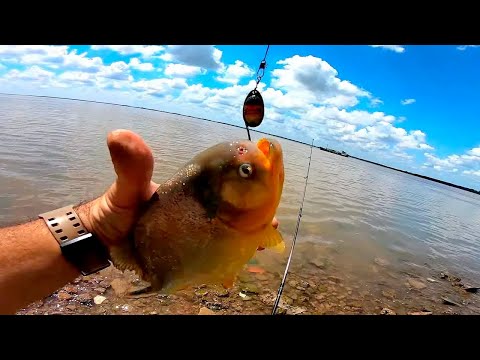 Pesca con señuelos y Exploro playa contaminada. PESCA URBANA